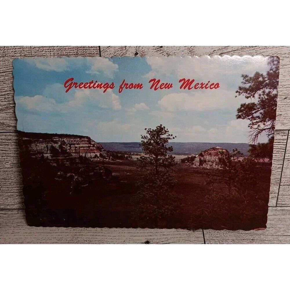 VTG Postcard Petagai Valley Gallup New Mexico‎ Ephemera Memorabilia Souvenir